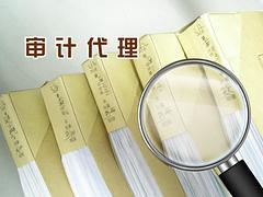 德陽鼎域財務(wù)管理咨詢 審計代理費用解析與羅江工商注冊一站式服務(wù)