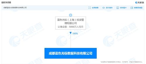 藍色光標布局西南，成都新設(shè)數(shù)據(jù)科技公司加碼大數(shù)據(jù)服務(wù)